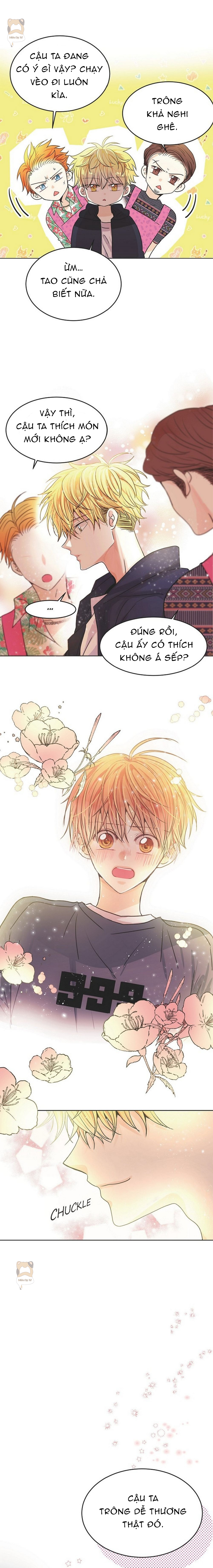 mối quan hệ phù hợp chapter 3 12