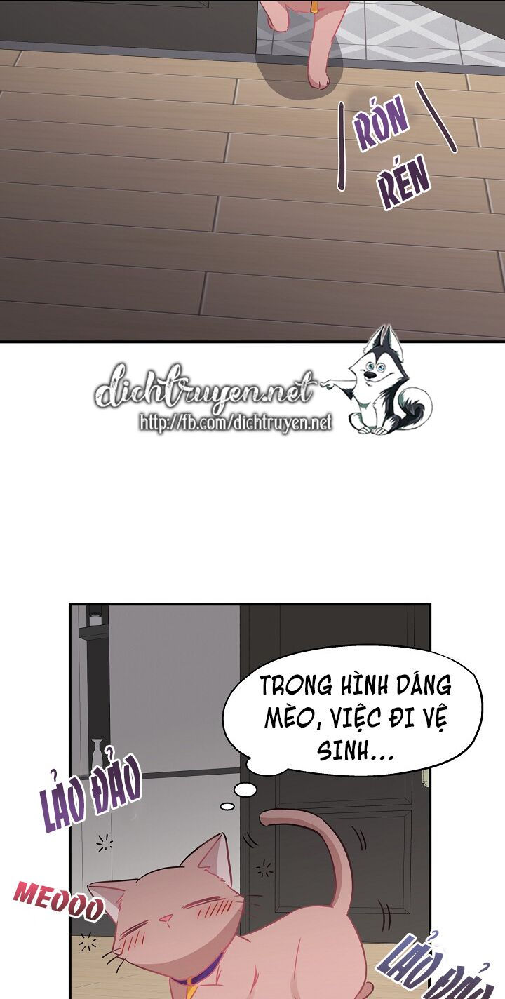 cuộc sống kỳ thú chapter 35 1