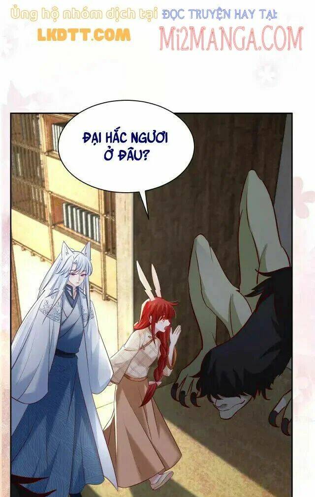 hắc hóa nam chính trực tuyến nuôi thỏ chapter 40 17