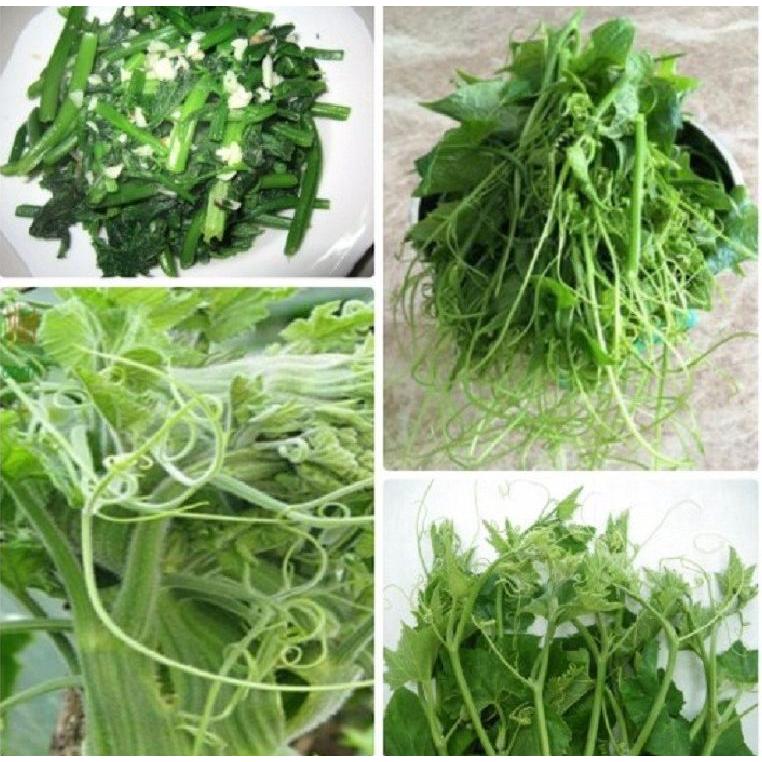 Hạt giống bí ăn ngọn,siêu ngọn-gói 5 gram-tặng kèm gói phân bón lót