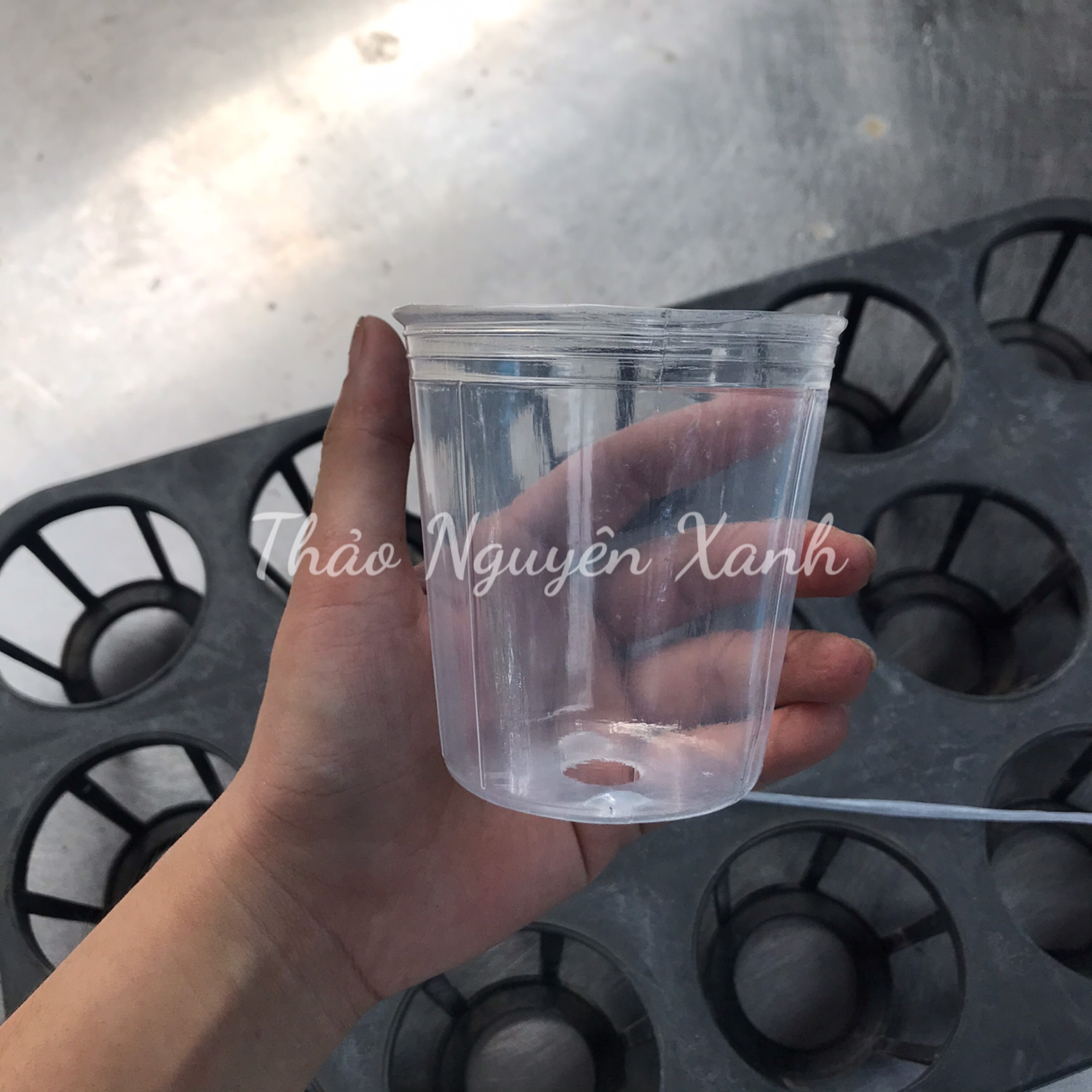 Chậu nhựa dẻo trồng lan hồ điệp 2.5 inch