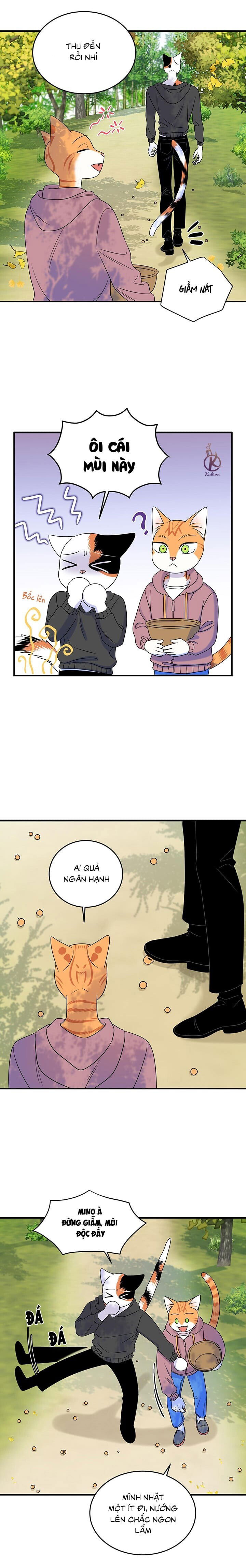 dự án xanh chapter 49 8