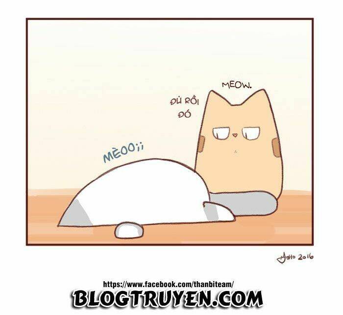 saphie: chú mèo một mắt chapter 2 7