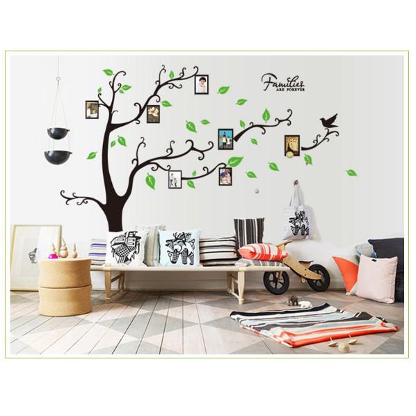 Decal trang trí tường - Cây Lớn Cong Khung Hình ĐEN 02