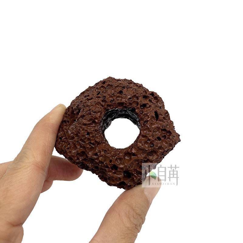Nham thạch khoan lỗ ươm cây thủy sinh - gắn bucep - gắn ráy - cây thủy sinh- cây cắt cắm -phụ kiện thủy sinh - shopleo