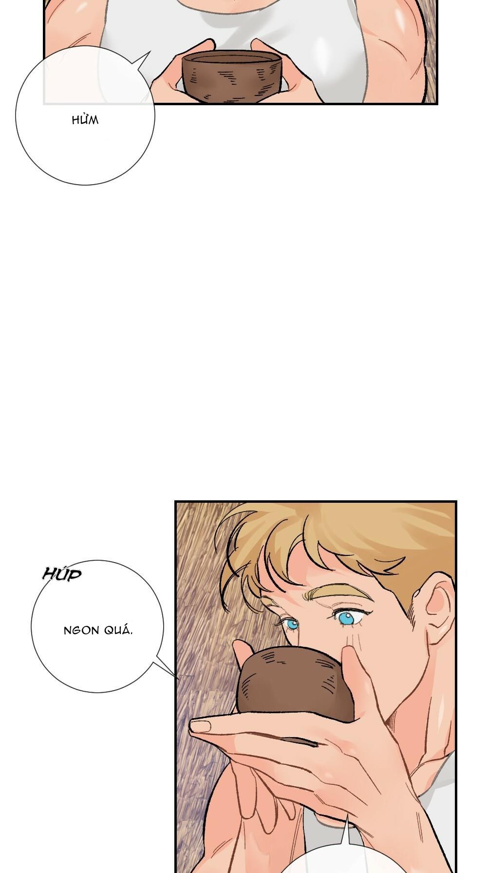 chăm sóc chapter 6 15