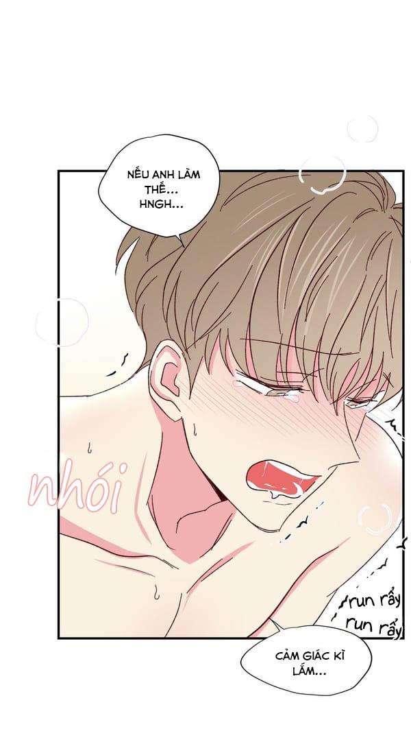 món tráng miệng của sếp tổng chapter 47 40