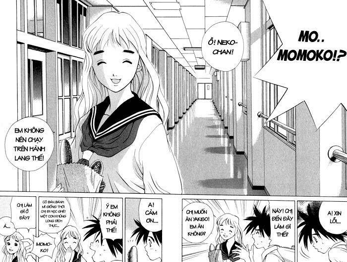 parallel chapter 17 23