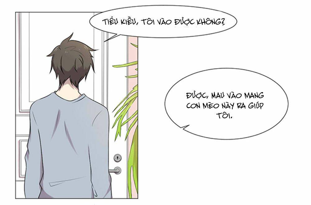 hai chú mèo totem chapter 37 53