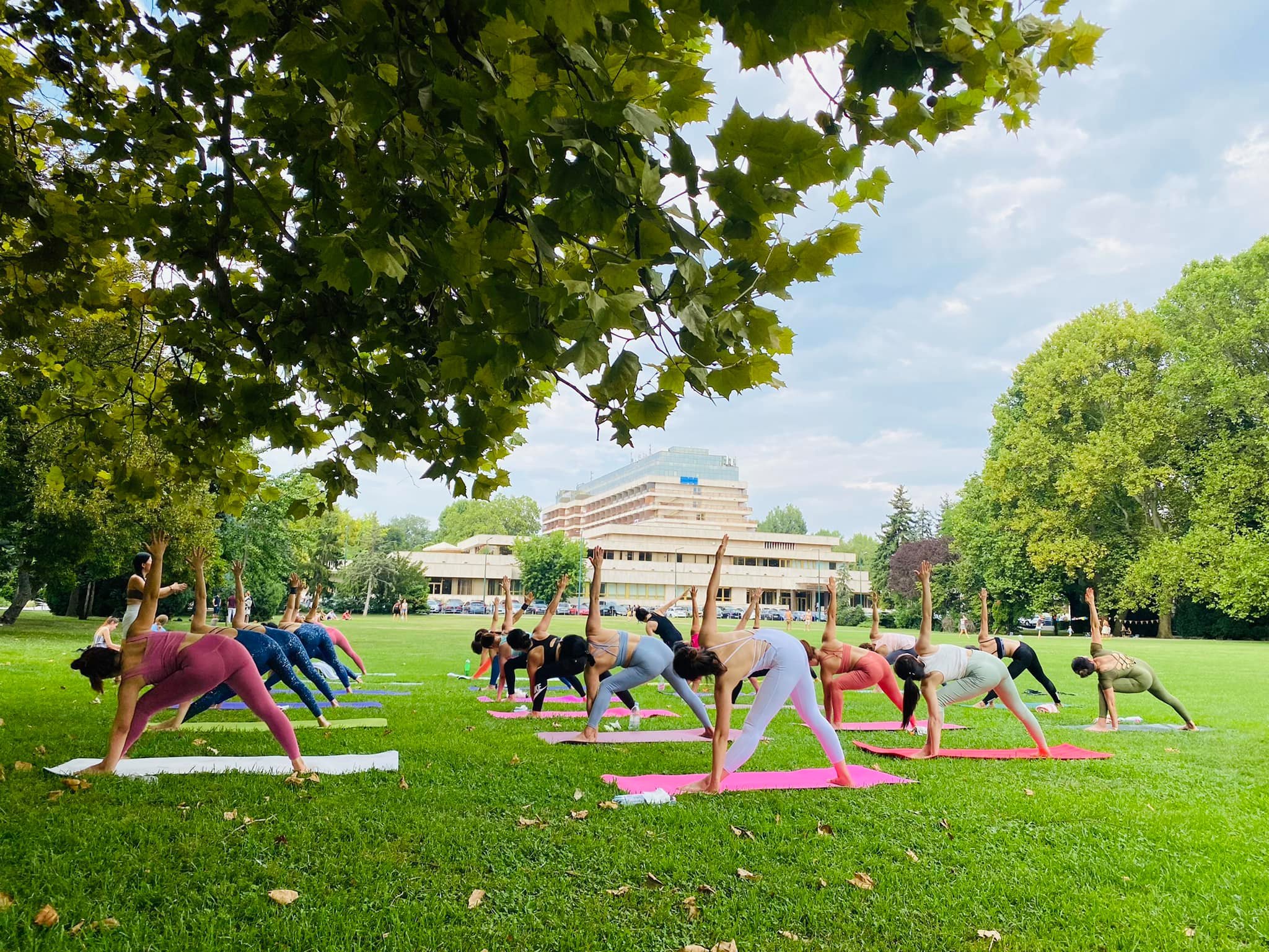 [CHỌN MÀU] THẢM TẬP YOGA, GYM 2 LỚP+ TÚI ĐỰNG THẢM TẬP YOGA + DÂY BUỘC CHUYÊN DỤNG - CHÍNH HÃNG DODODIOS