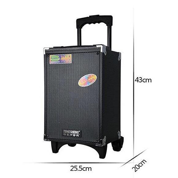 Loa kéo Temeisheng A8-2T - Loa kéo di động bass 2 tấc - Tặng kèm 1 micro không dây - Công suất lên đến 250W - Đầy đủ kn