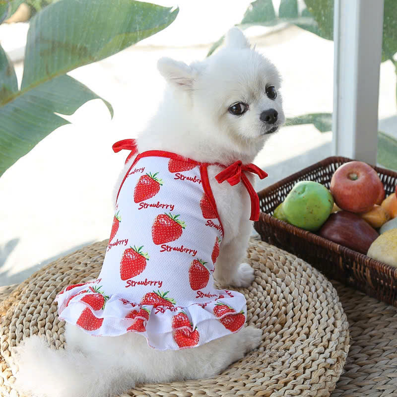 VÁY XÒE HÌNH TRÁI CÂY DỄ THƯƠNG CHO THÚ CƯNG CHÓ MÈO