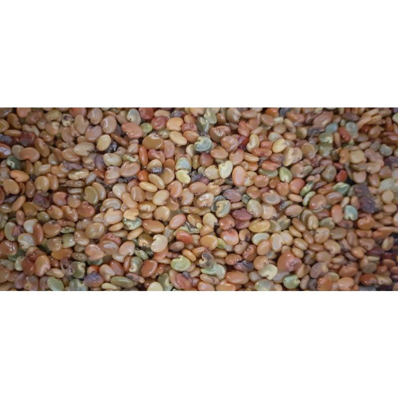 500 gram muồng vàng hạt lớn