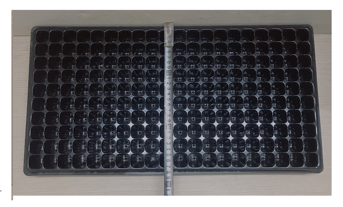 10 Khay Nhựa PVC 200 Lỗ Ươm Cây Tiện Lợi, Dễ Sử Dụng, Tích Kiệm Diện Tích - Khay nhựa ươm cây 200 lỗ!