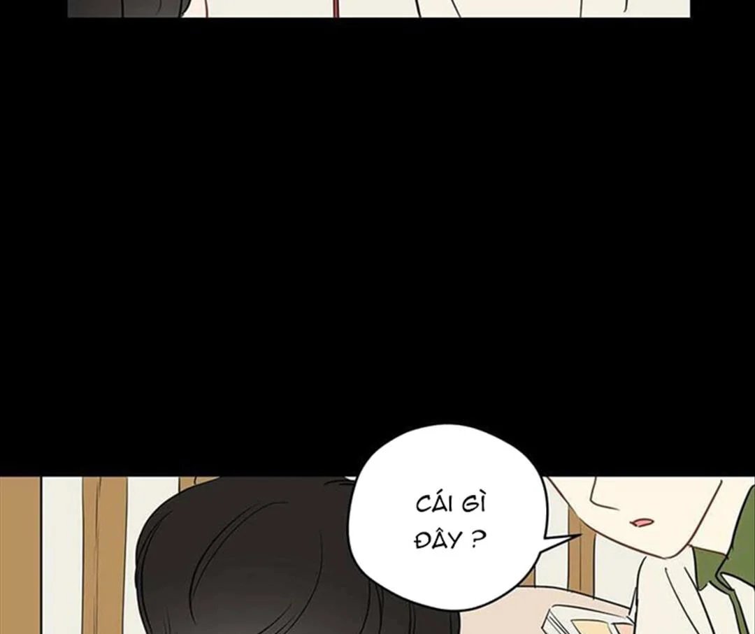 chuyện quái gì với giấc mơ đó vậy chapter 31 16