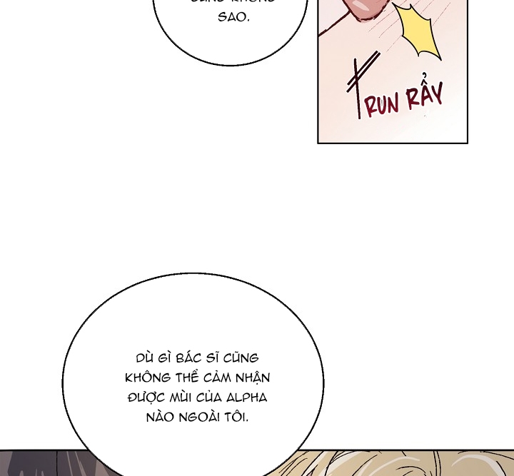 chàng tuấn mã của tôi chapter 31 82