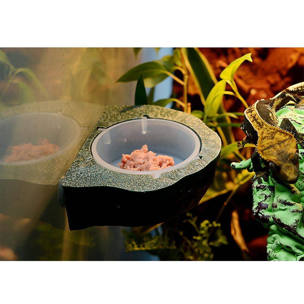 Mini Magnetic Gecko Feeder Ledge Reptile Terrarium Decor. Feeding Bowl Green
