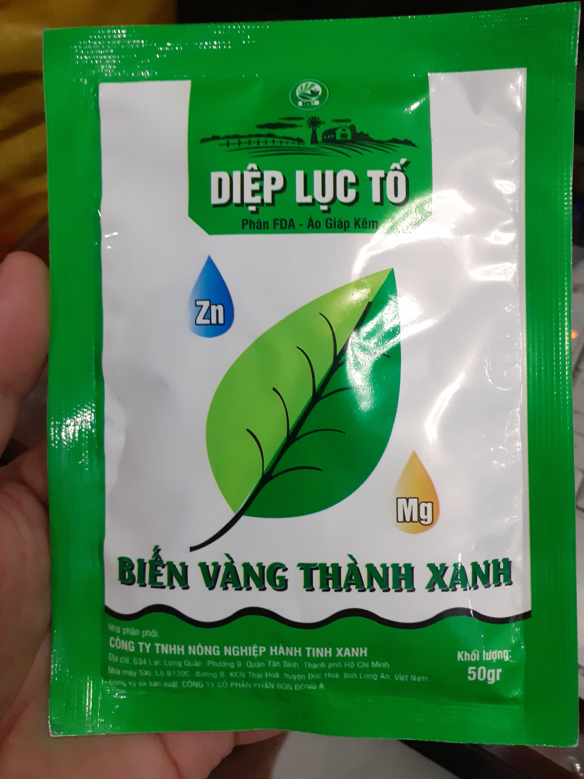 Tăng diệp lục tố biến vàng thành xanh