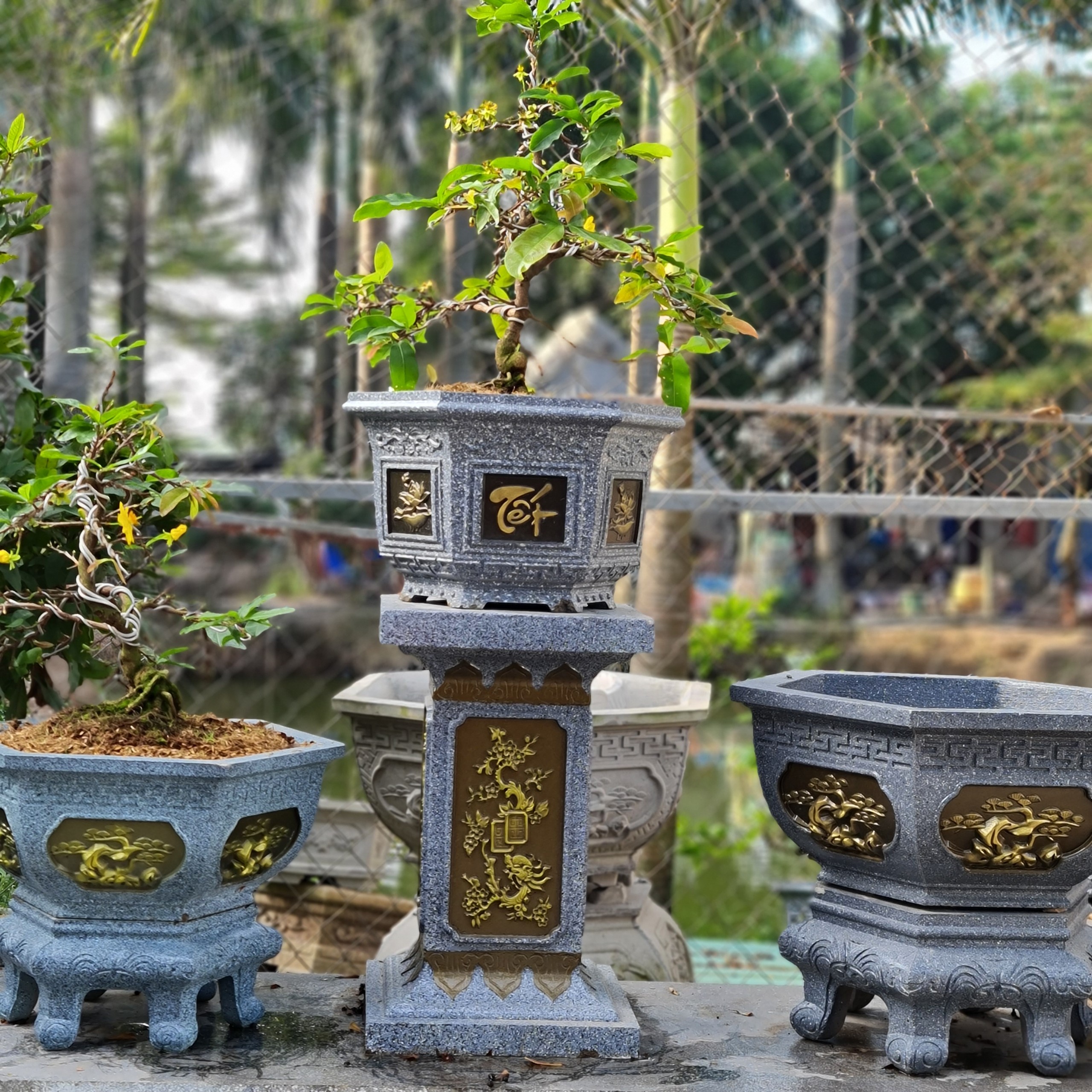 Khuôn Chân Đôn Cao 55 ABS HÌNH RỒNG