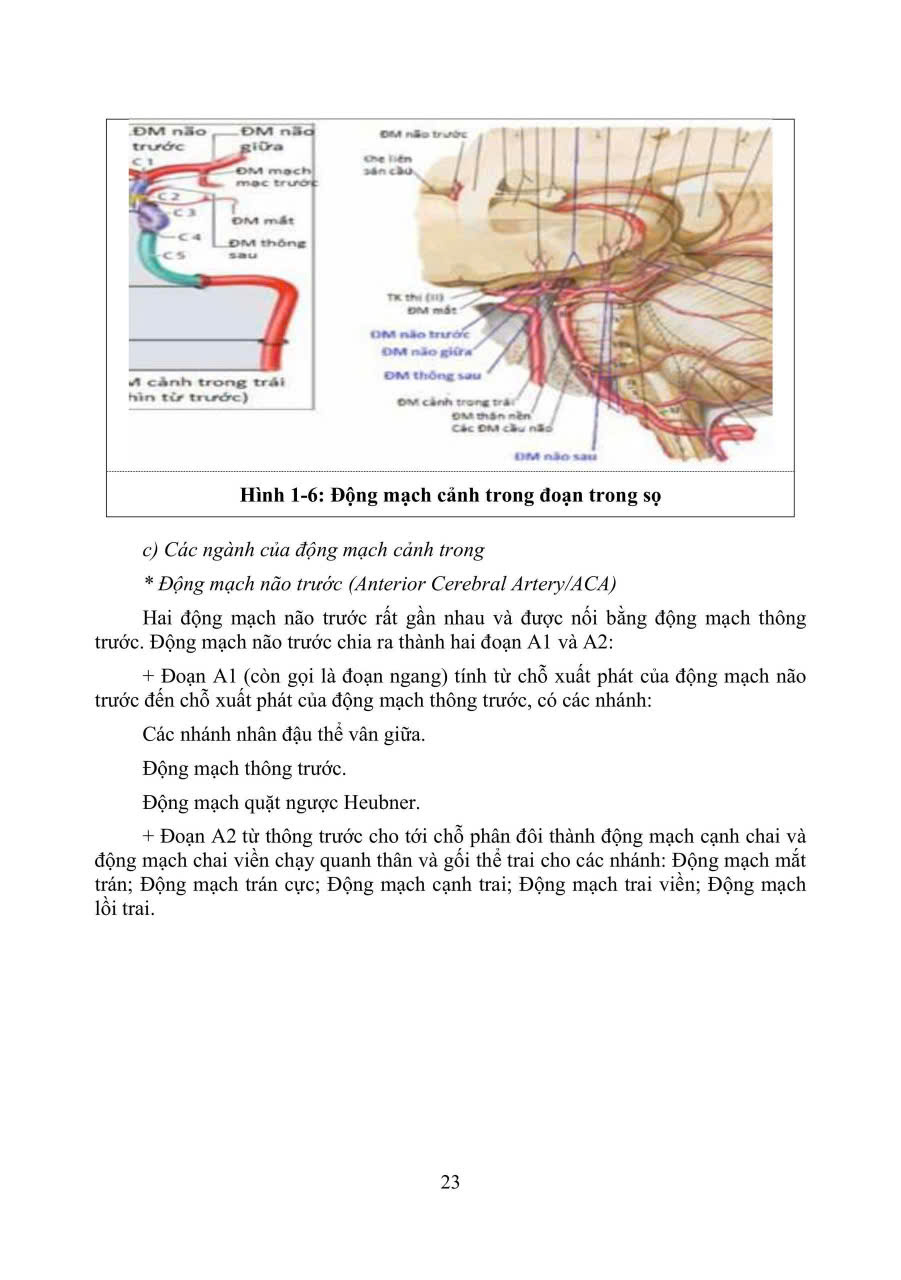 Sách - PHỤC HỒI CHỨC NĂNG CHẤN THƯƠNG NÃO