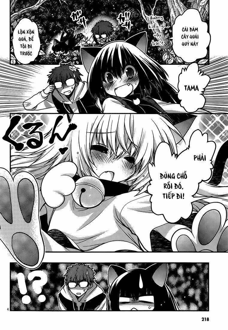 tamanyan chapter 8 5