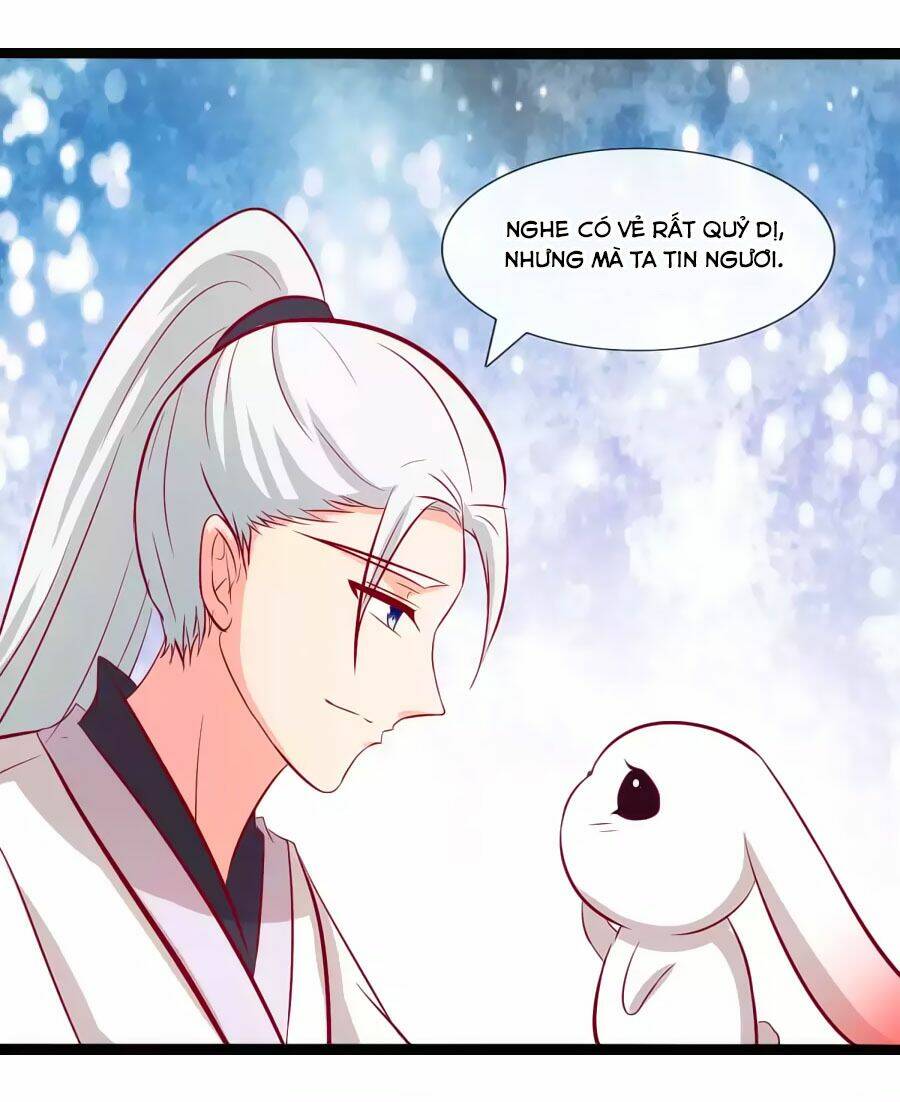 thỏ yêu tiểu vương phi chapter 66 6