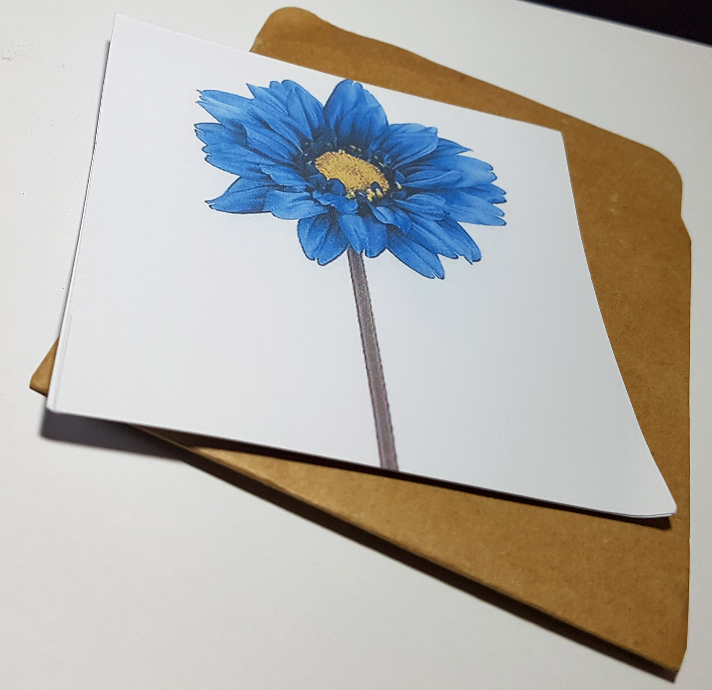 Thiệp phong cách Vintage card quà cám ơn ,chúc mừng sinh nhật và giử tặng người thân yêu.