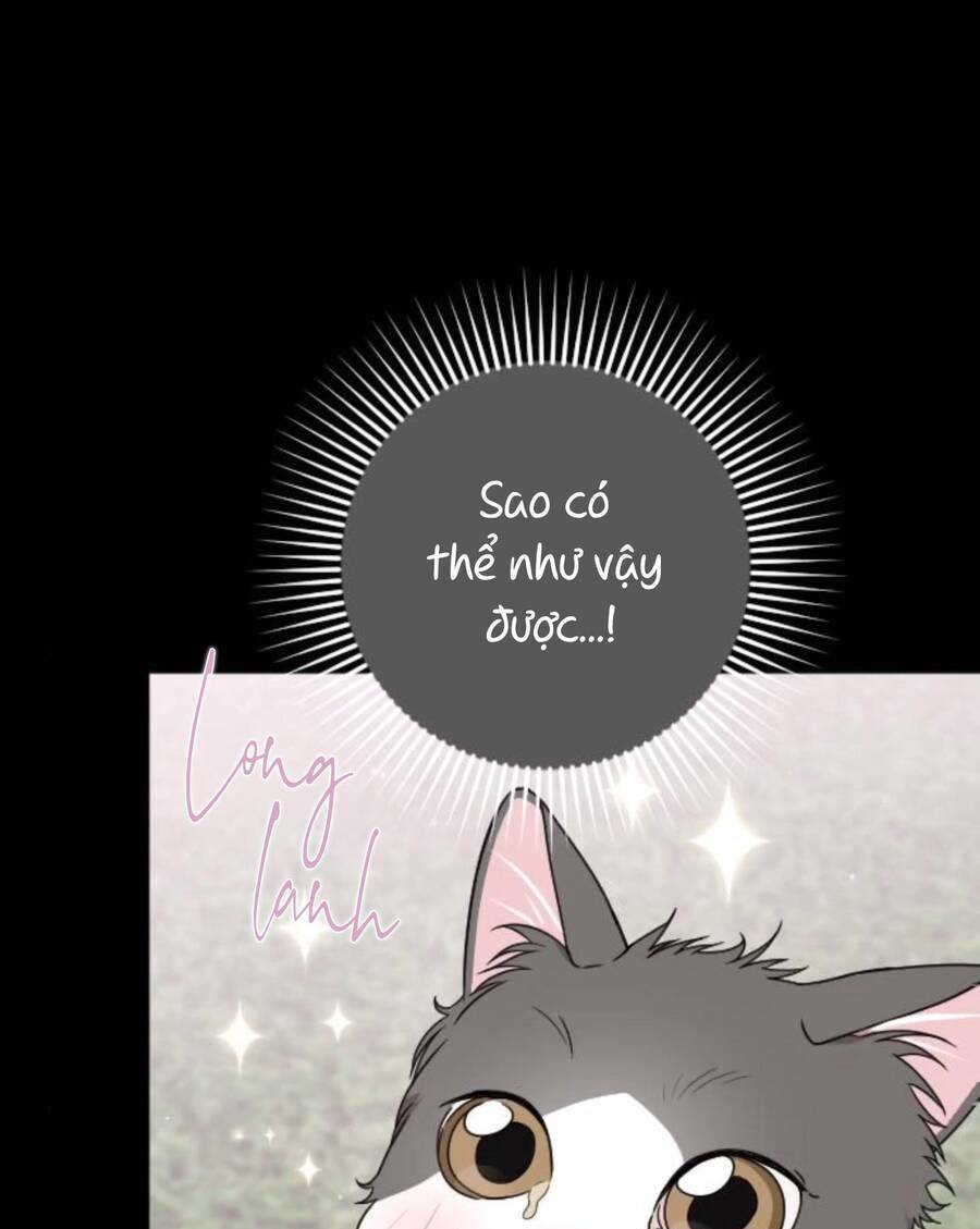 cô đi mà lấy chồng tôi đi chapter 67 32