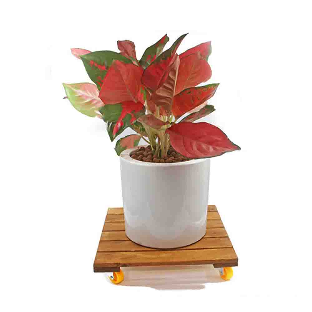 Đế lót chậu cây có bánh xe Vuông Greenhome chất lượng cao, bền và chắc chắn chịu lưc 120kg bằng Gỗ   R30xC8cm
