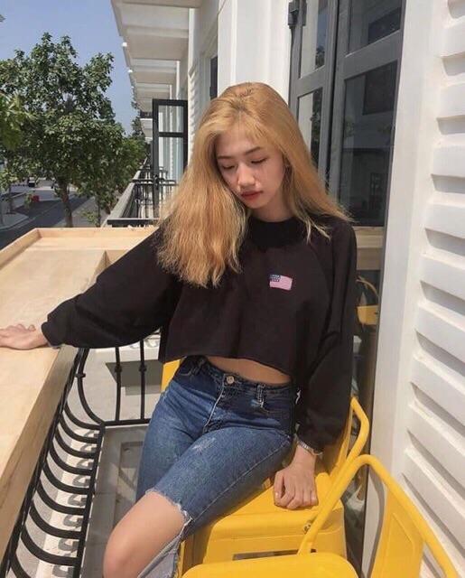 Áo Croptop Tay Dài Form Rộng Hình Cờ Mỹ