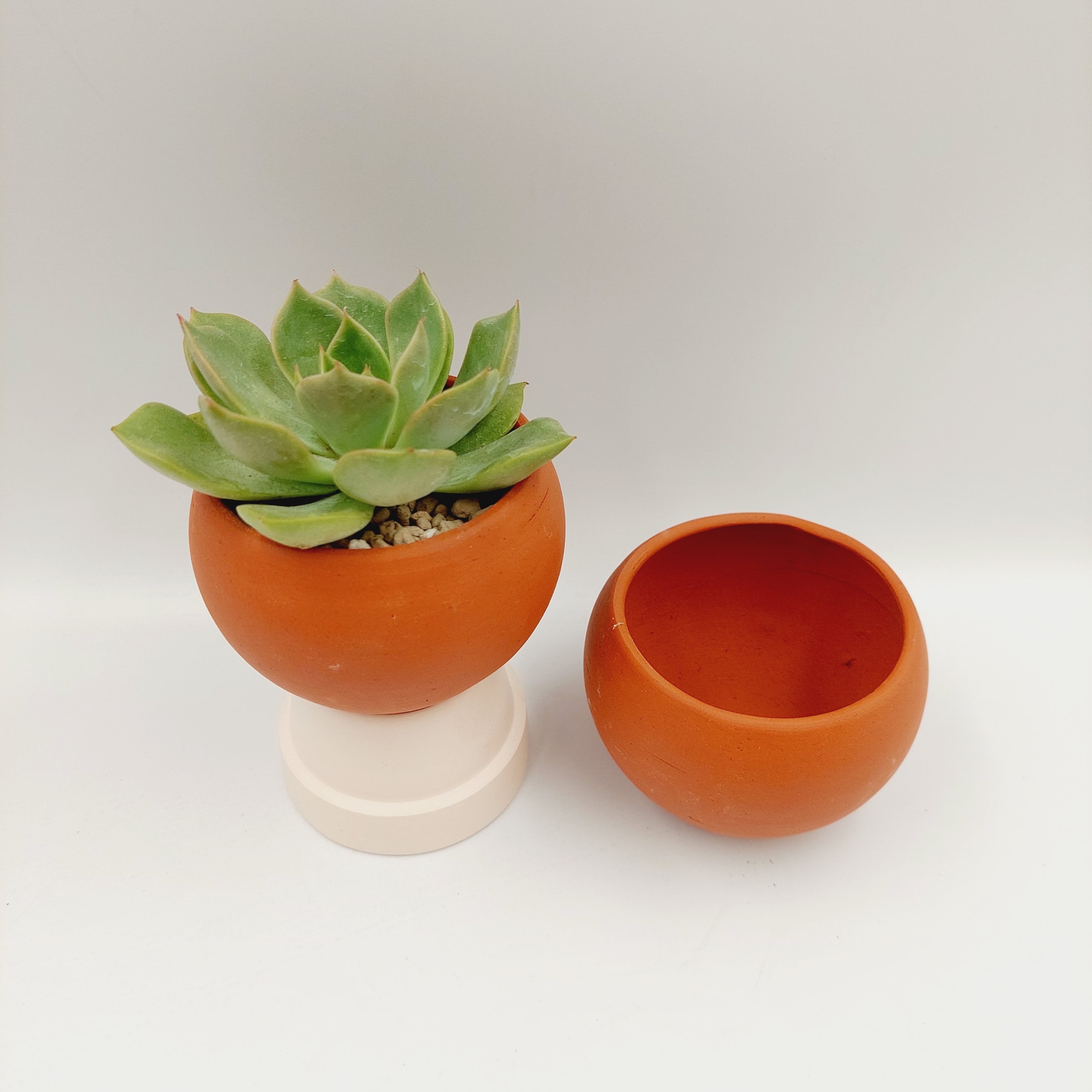 Chậu đất nung, chậu sen đá - Trái banh mini 76 , miệng chậu 7cm, chiều cao 6cm