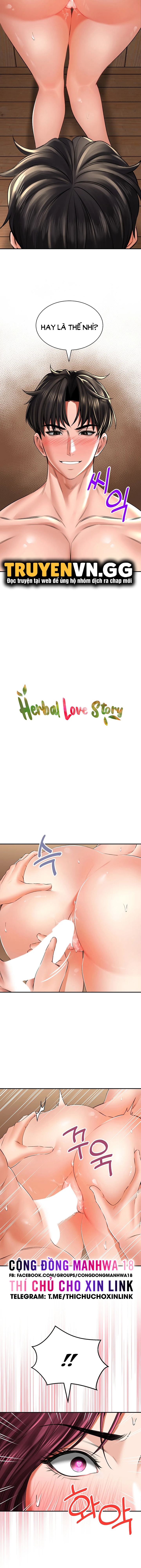 thảo dược mê tình chapter 10 2