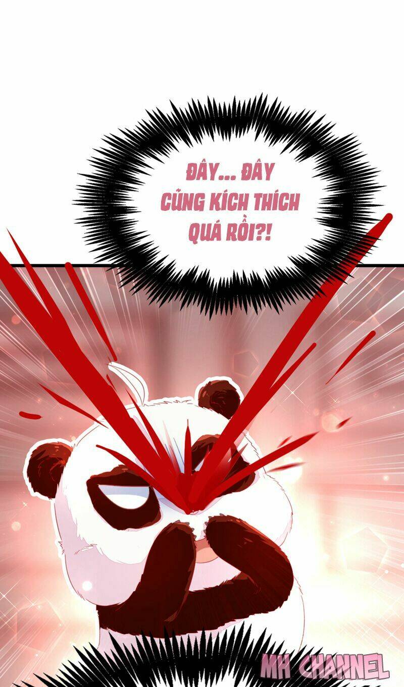 thiên thần gấu trúc muốn được ôm chapter 14 17