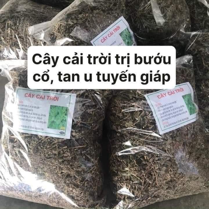 Cây cải trời sấy khô gói 1kg