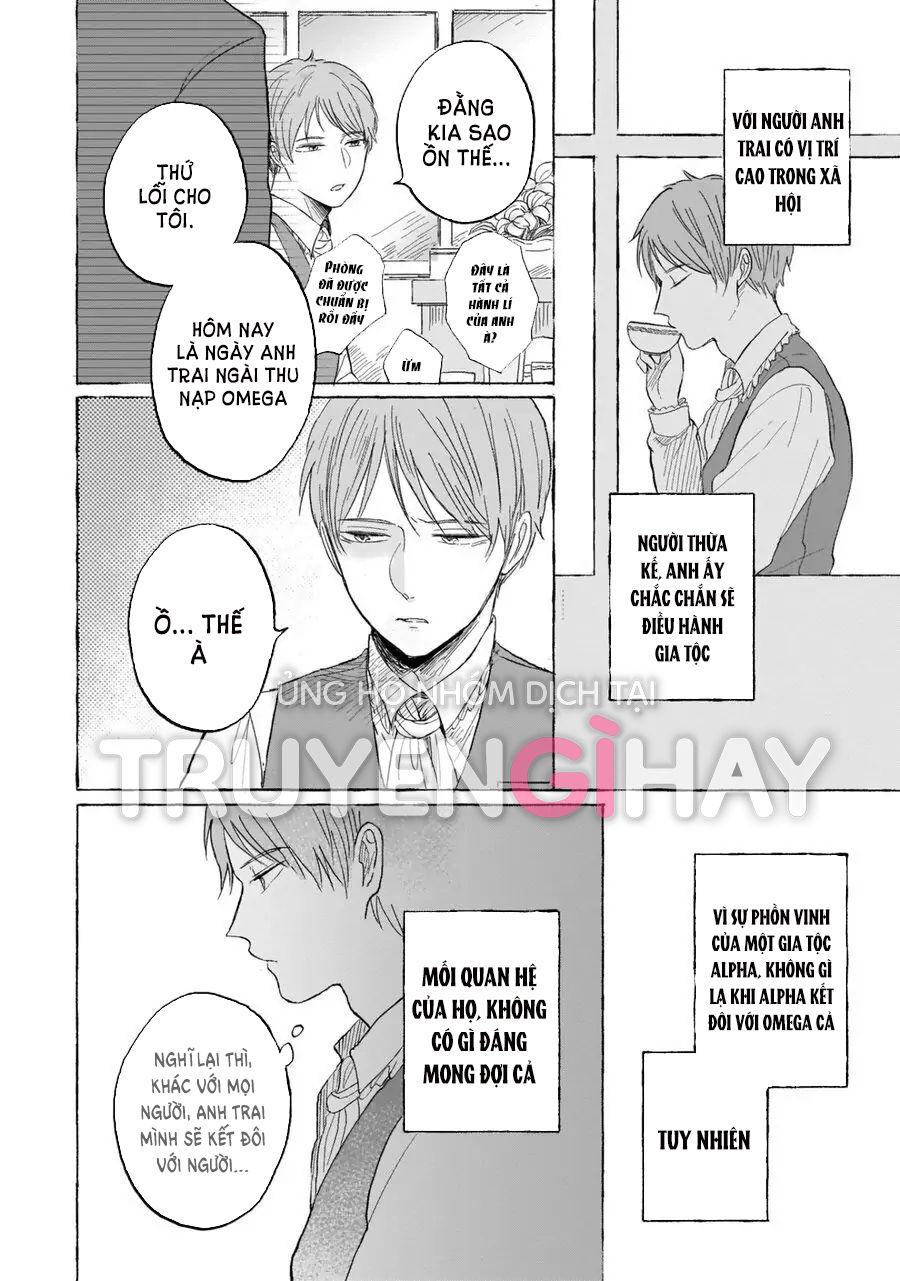 neko mimi omegaverse chapter 6.1 6