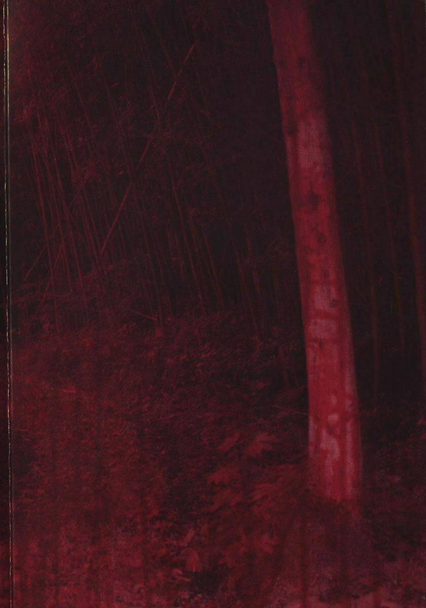 đảo ma cà rồng chapter 1 9