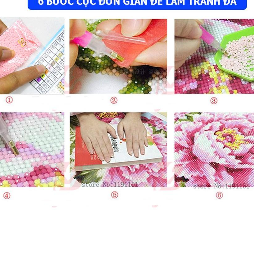 Tranh đính đá thuận buồm xuôi gió DF082 chưa đính, tùng nghênh khách