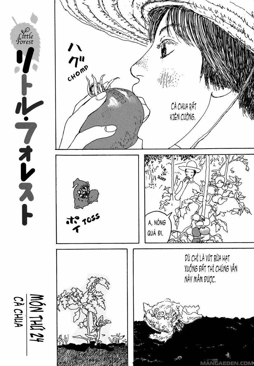 little forest chapter 24 1