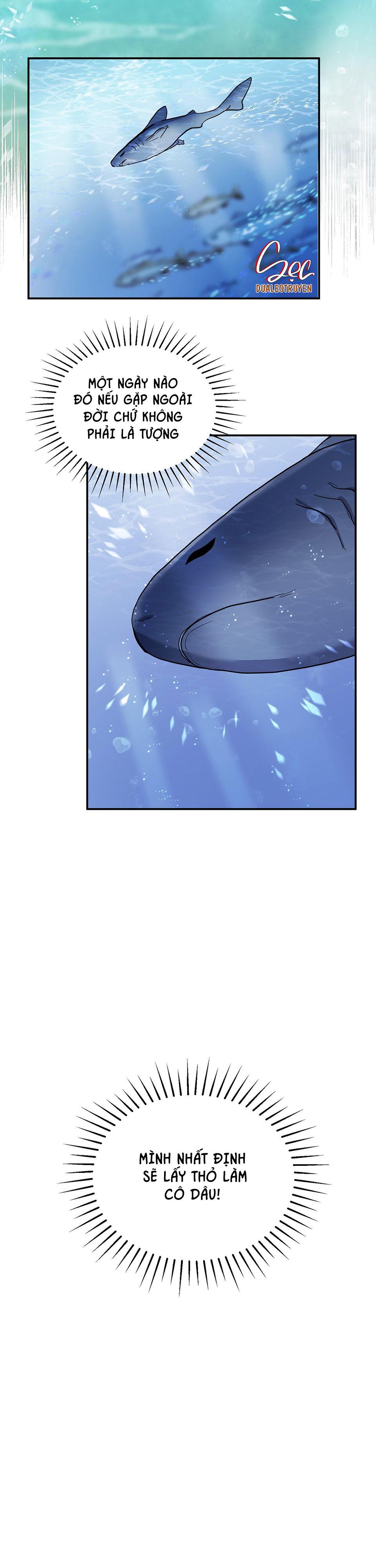 cá mập và cô dâu thỏ chapter 1 16