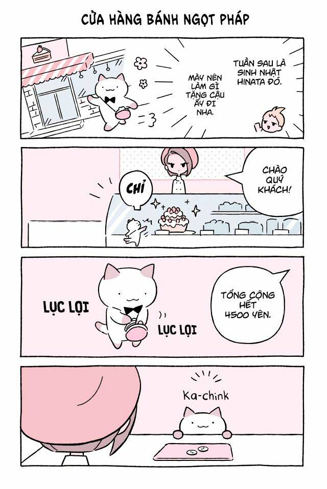 chú mèo kỳ diệu kyuu-chan chapter 591 2