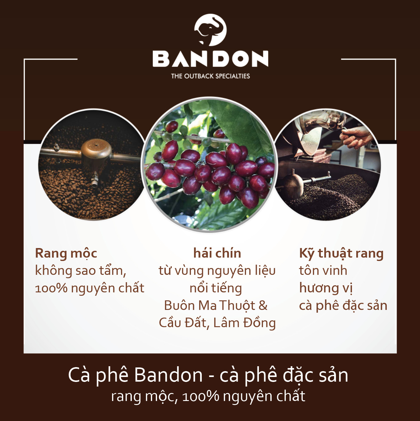 Cà phê phin nguyên chất  mộc sạch BANDON MINDSET 250g đắng đậm, hậu ngọt, thơm mạnh - cà phê đặc sản (28% Arabica Cầu Đất, 28% Robusta Culi, 44% Robusta Buôn Ma Thuột red honey)