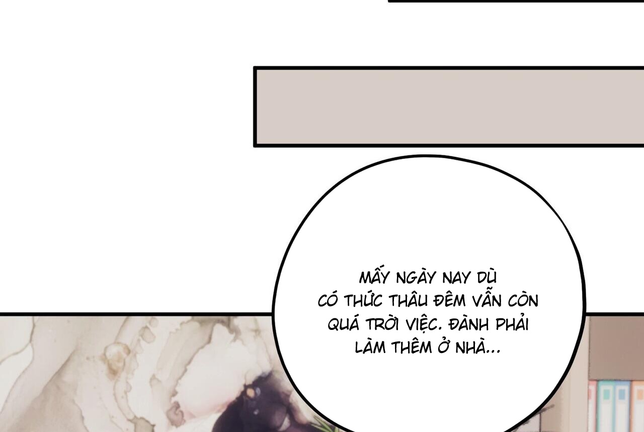 chàng dâu nhà họ kang chapter 43 50