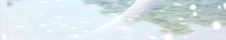 công chúa điên muốn ngai vàng chapter 0 64