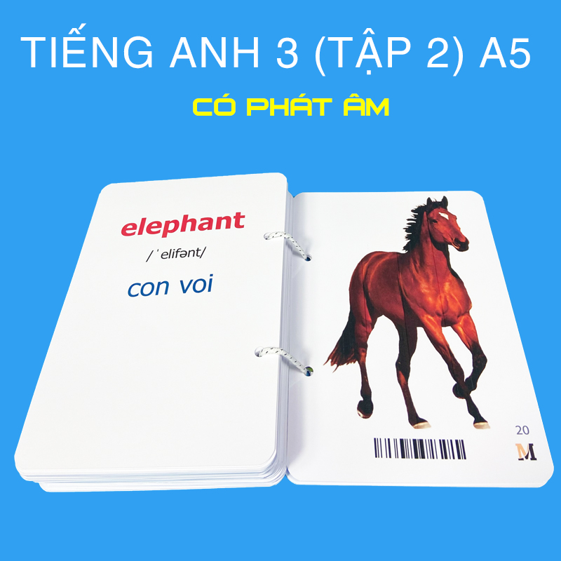 2 Bộ flashcard tiếng Anh 3 khổ lớn A5, có phát âm và hình ảnh sinh động