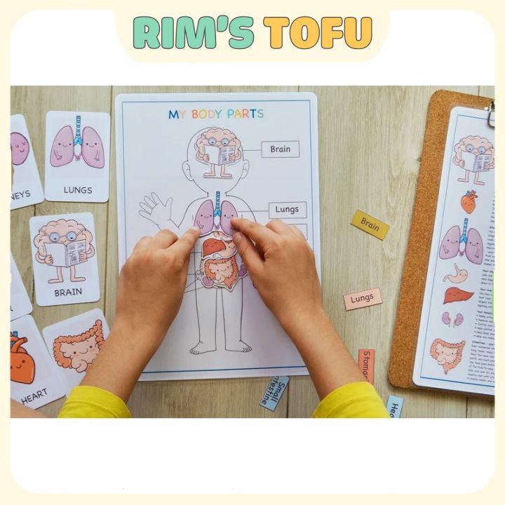 Bộ học liệu bóc dán montessori Khám phá giải phẫu cơ thể Anatomy Busy Book