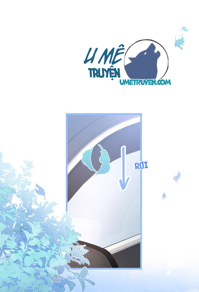 lại bị nam thần chọc trên hot search! chapter 28 19