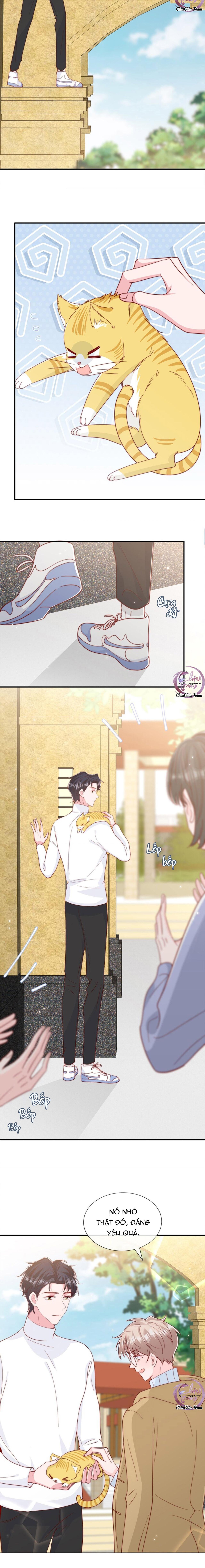 quả chanh và tia chớp chapter 54 5