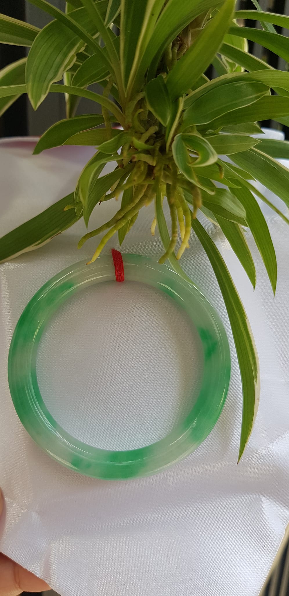 Vòng tay nữ đá Cẩm Thạch tự nhiên mới TR LÝ IC 54mm x chột to 9mm vòng màu trắng xanh lý đẹp nữ 52kg - 56kg đeo ạ