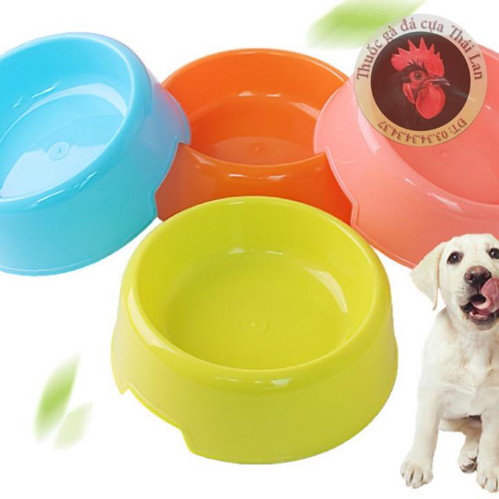 COMBO 1 CÁI - Bát , tô nhựa đựng thức ăn nước uống dành cho chó mèo