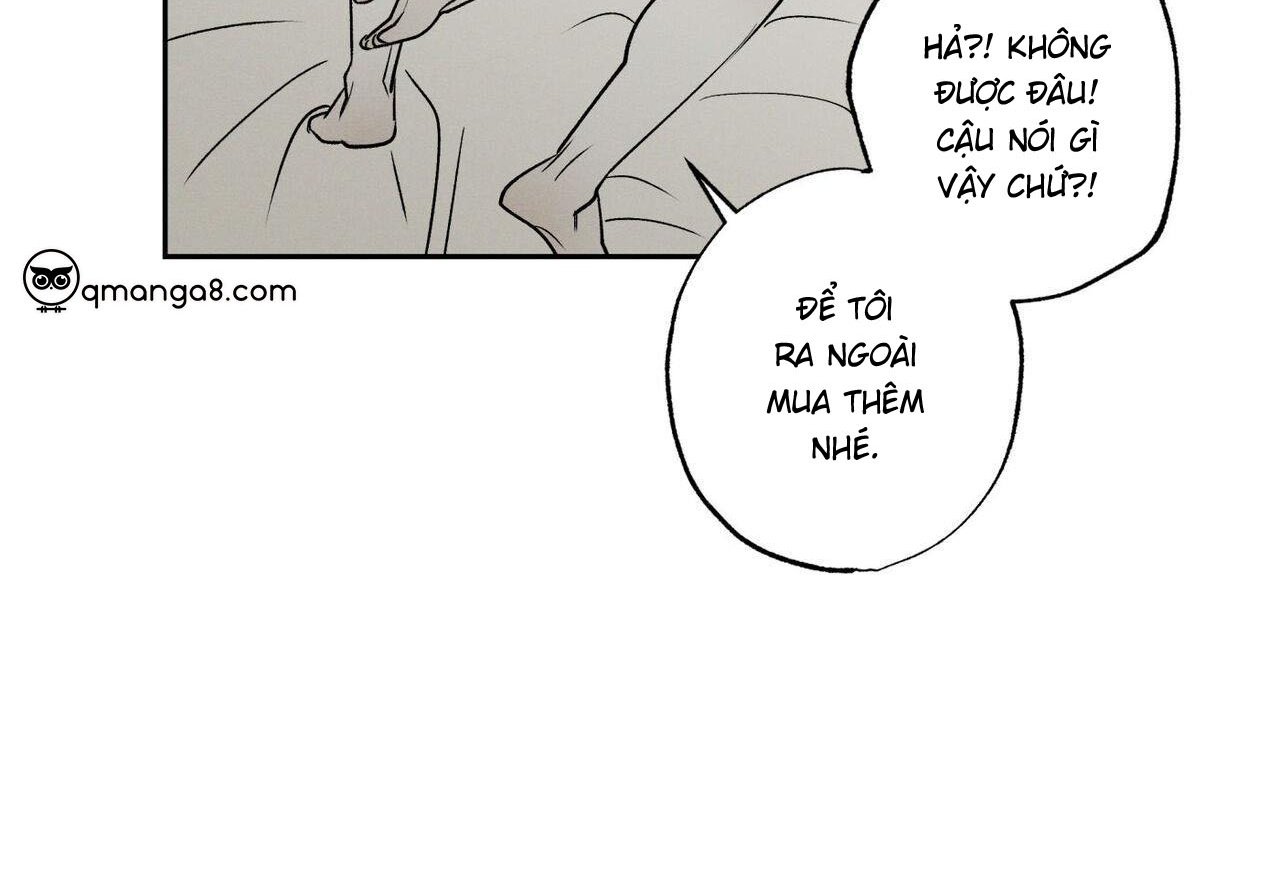 chàng giao pizza và gold palace chapter 47 58